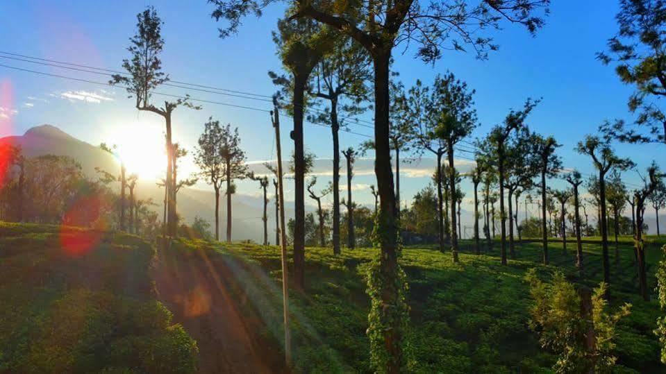 Gruenberg Tea Plantation Haus Panzió Munnar Kültér fotó